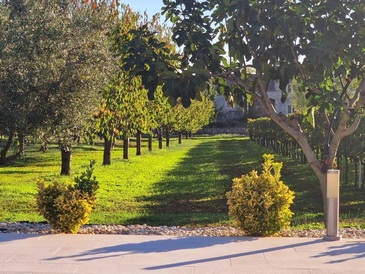Villa Lorema-Pet Friendly On 5000 Sqm Garden,Pool, Jacuzzi, Billiard&Ps5 Светі Филип-і-Яков Екстер'єр фото