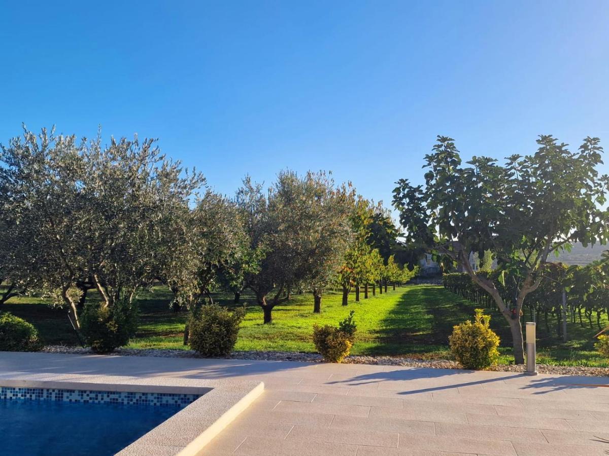 Villa Lorema-Pet Friendly On 5000 Sqm Garden,Pool, Jacuzzi, Billiard&Ps5 Светі Филип-і-Яков Екстер'єр фото